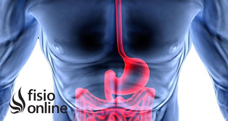Intestino agujereado